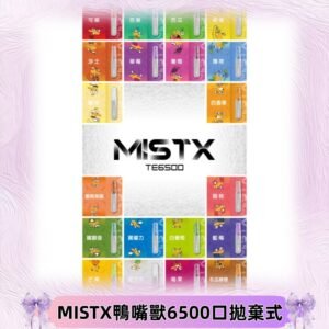 MIST X 鴨嘴獸6500口拋棄式電子煙#台灣現貨#