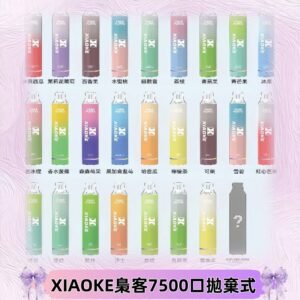 梟客XIAOKE|7500口可發光拋棄式電子煙 跑馬燈一次性